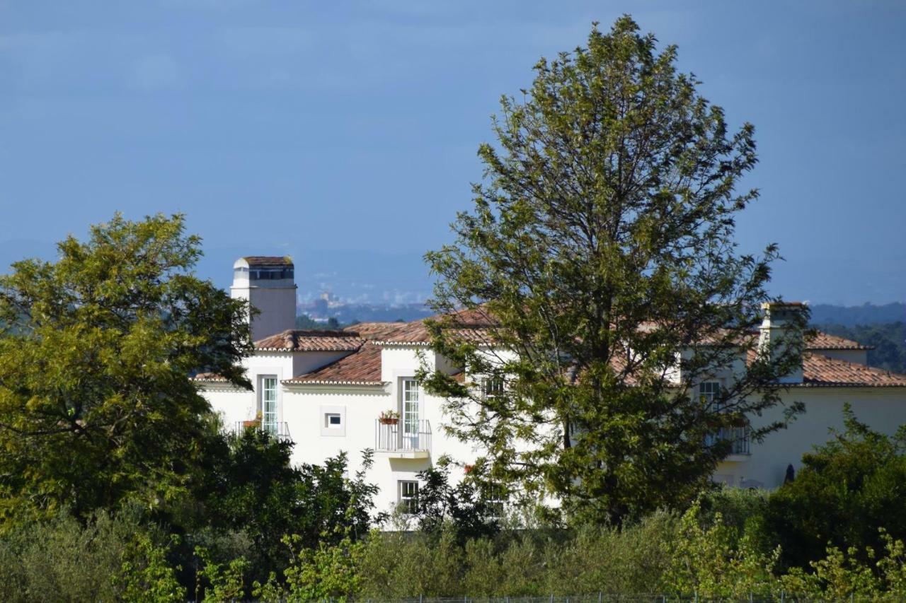 Quinta De Catralvos Otel Azeitao Dış mekan fotoğraf